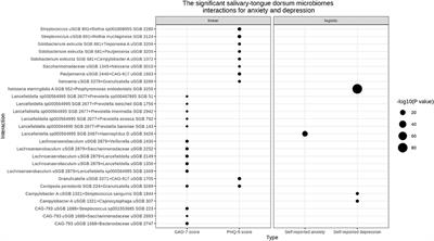 A genetic association study reveals the relationship between the oral microbiome and anxiety and depression symptoms